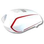 Tanque de Gasolina para motocicleta Xpress 170