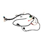 Arnes principal 250Z original italika