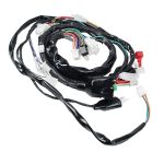 Arnes completo para motocicleta Italika 250z Kinlley