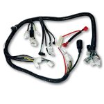 Arnes para motocicleta Xpress 170