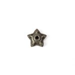 Estrella de selector renegade
